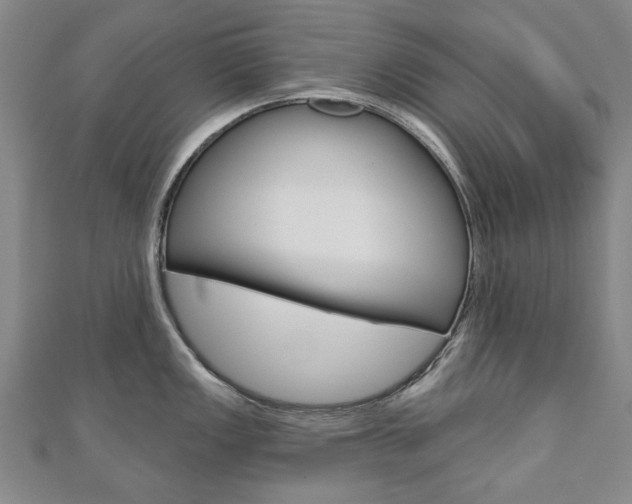 X0000110881149200906180940