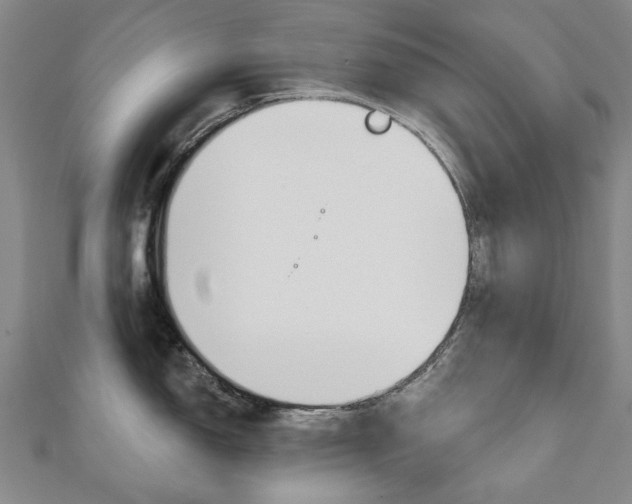X0000110881150200906180940