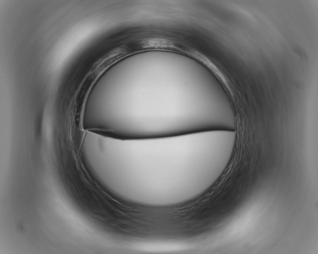 X0000110881151200906180940