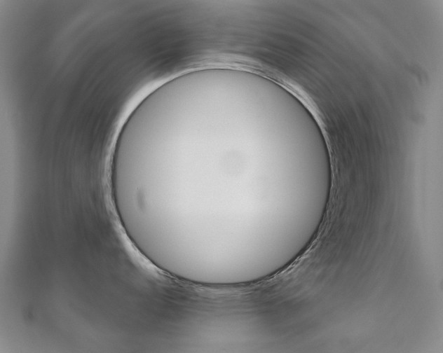 X0000110881152200906180940