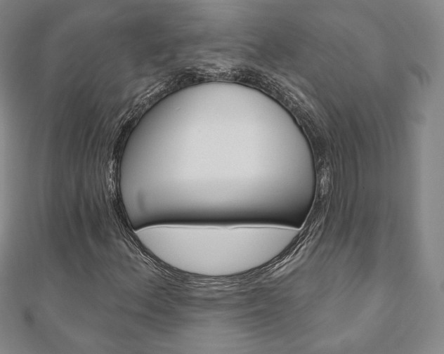 X0000110881156200906180939