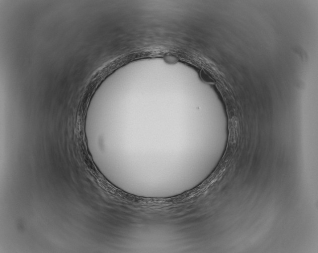 X0000110881158200906180939