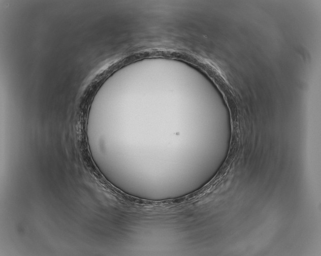 X0000110881159200906180939