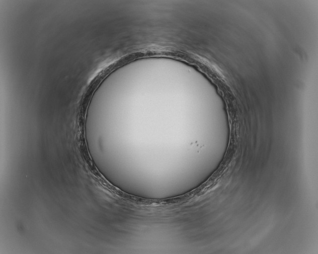 X0000110881160200906180939