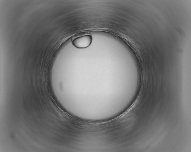 X0000110881161200906180939