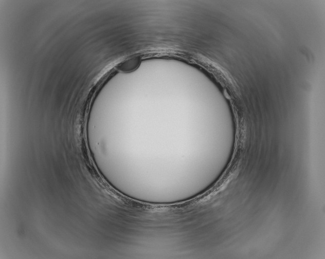 X0000110881162200906180939