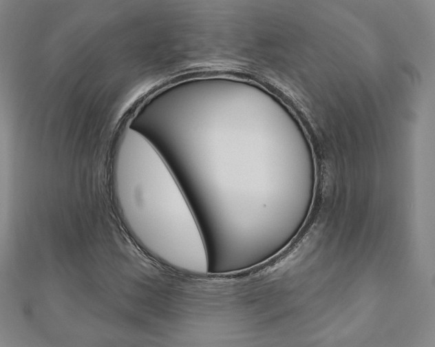 X0000110881163200906180939
