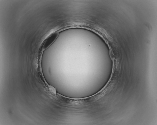 X0000110881165200906180939