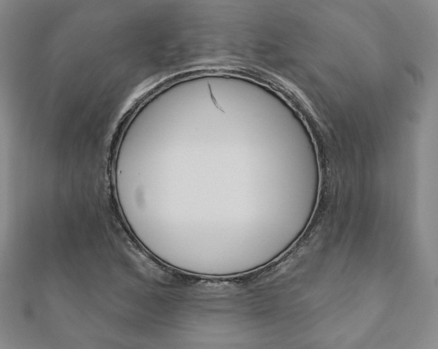 X0000110881168200906180939