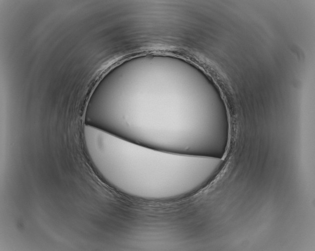 X0000110881169200906180939