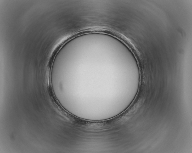 X0000110881171200906180939