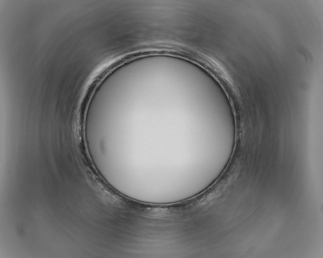 X0000110881172200906180939