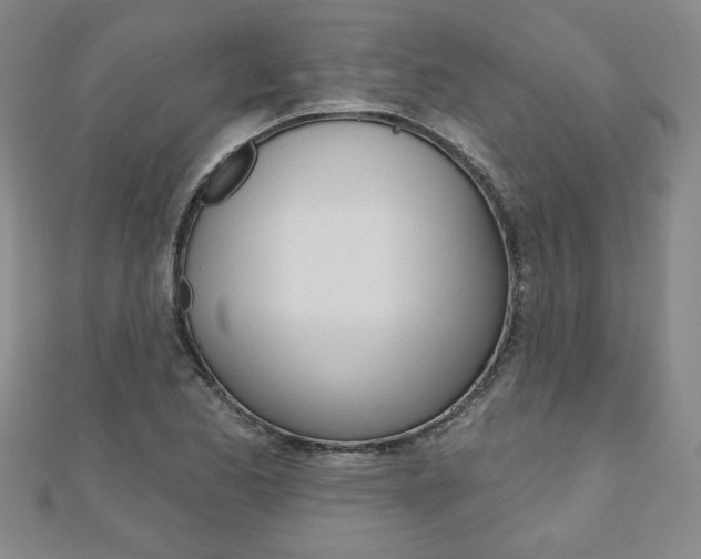 X0000110881173200906180939