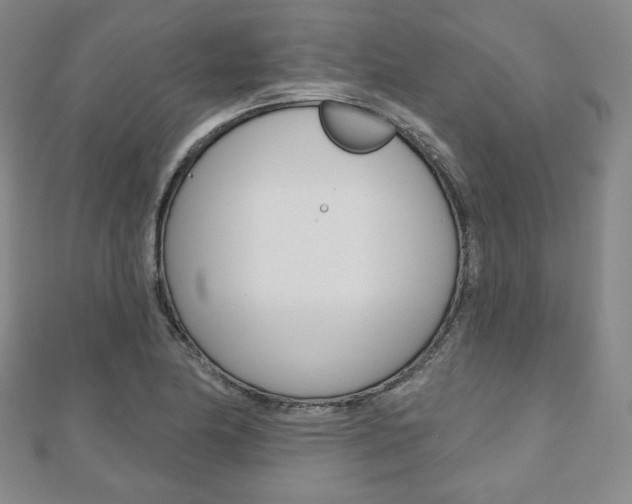 X0000110881174200906180939