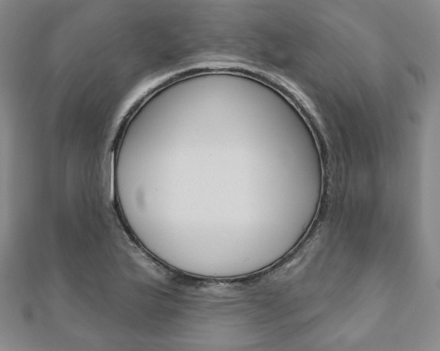 X0000110881175200906180939