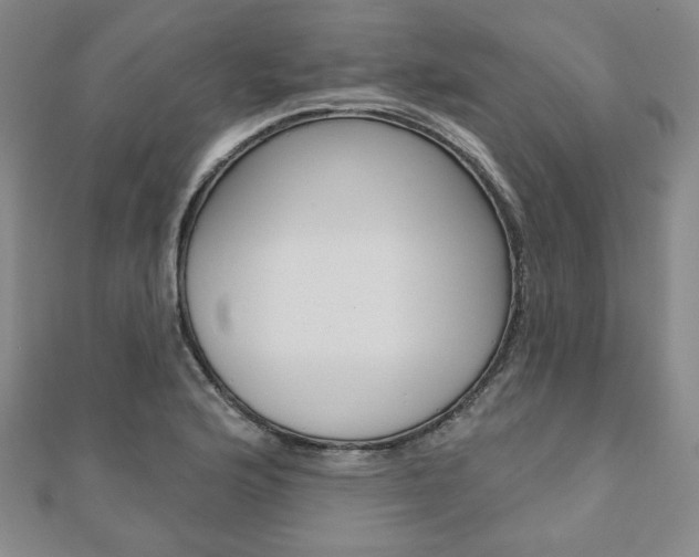 X0000110881176200906180939