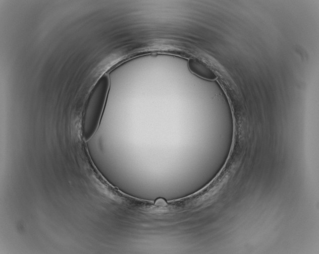 X0000110881177200906180939