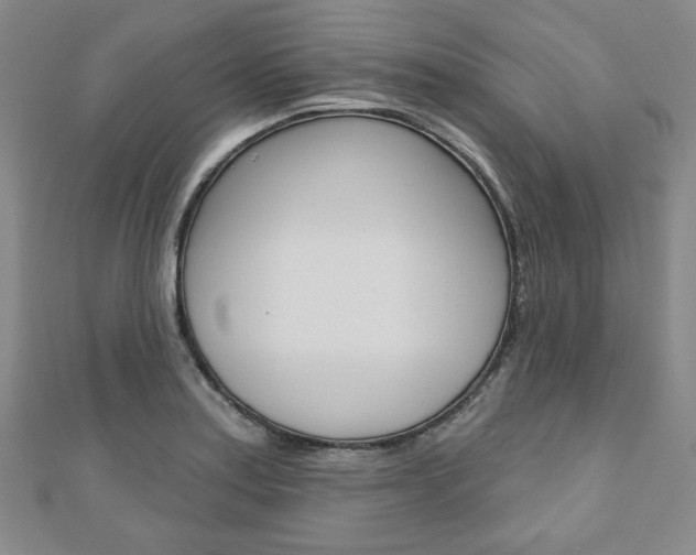 X0000110881179200906180939