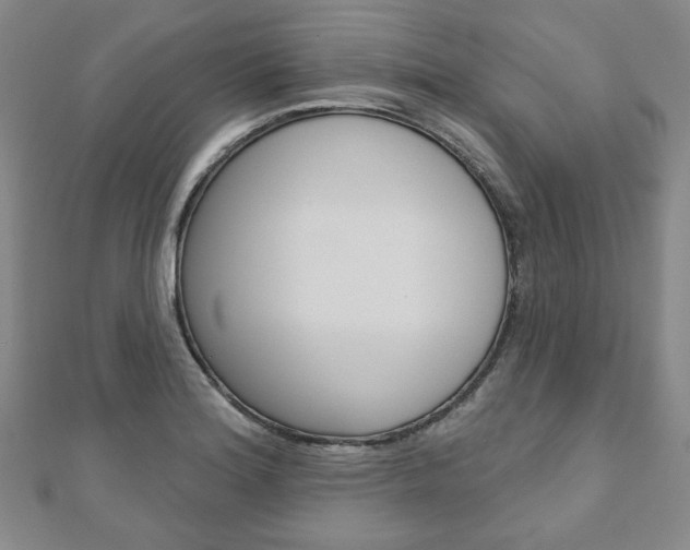 X0000110881180200906180939