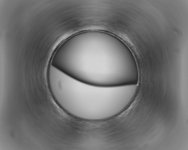 X0000110881181200906180939