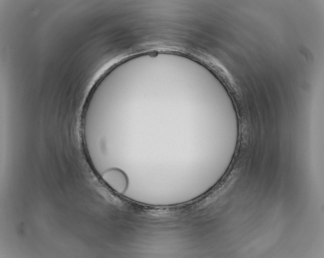 X0000110881182200906180939