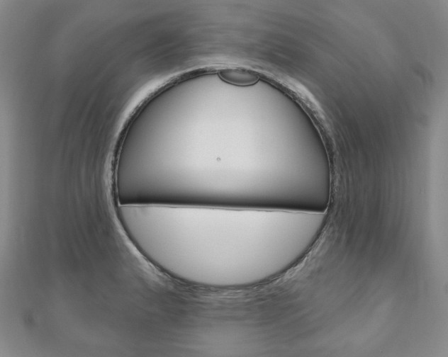 X0000110881183200906180939
