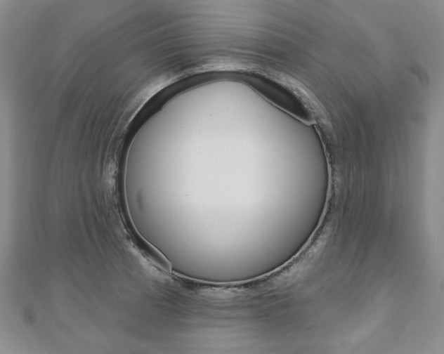 X0000110881185200906180939