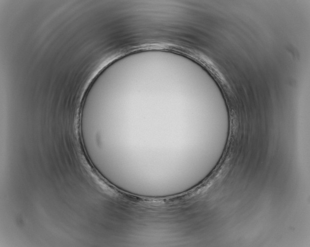 X0000110881186200906180939