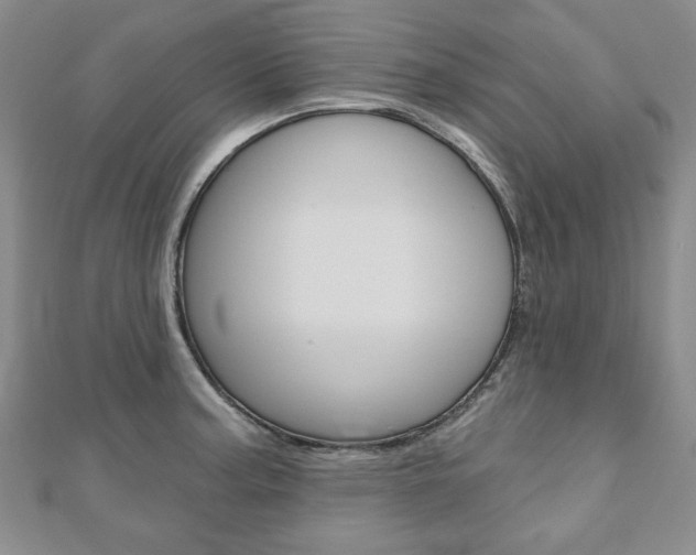 X0000110881187200906180939