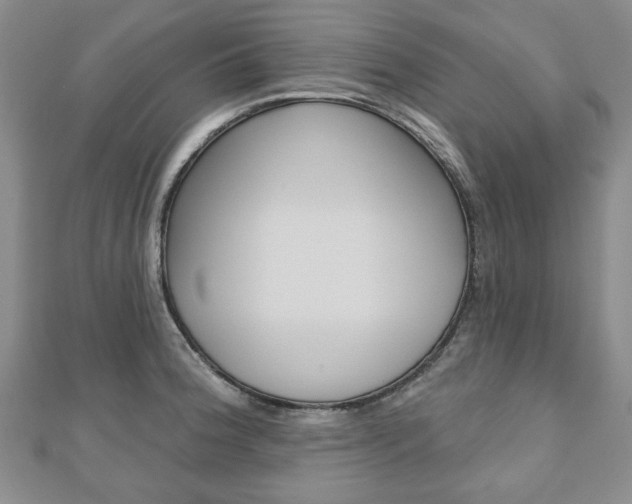 X0000110881188200906180939