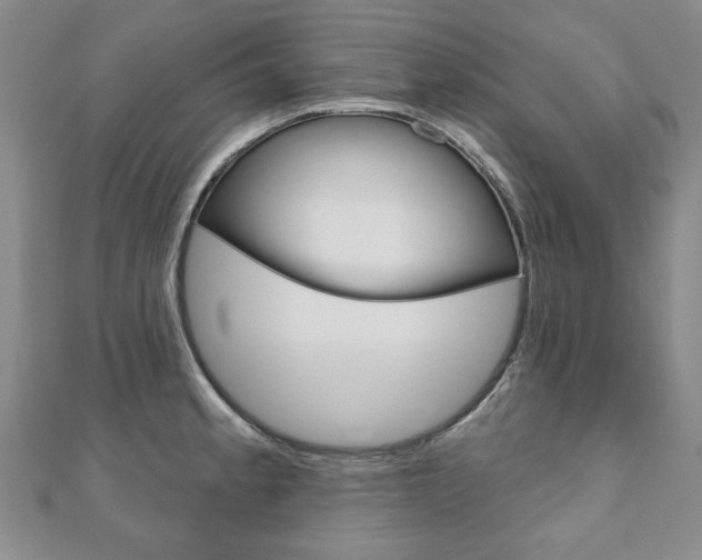 X0000110881189200906180939