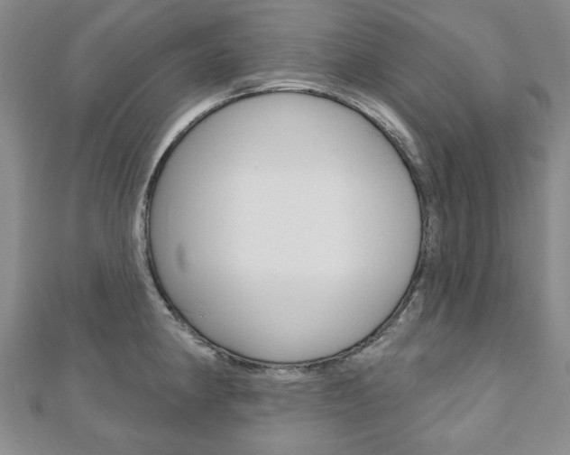 X0000110881190200906180939