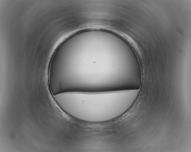 X0000110881191200906180939
