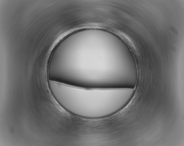 X0000110881192200906180939