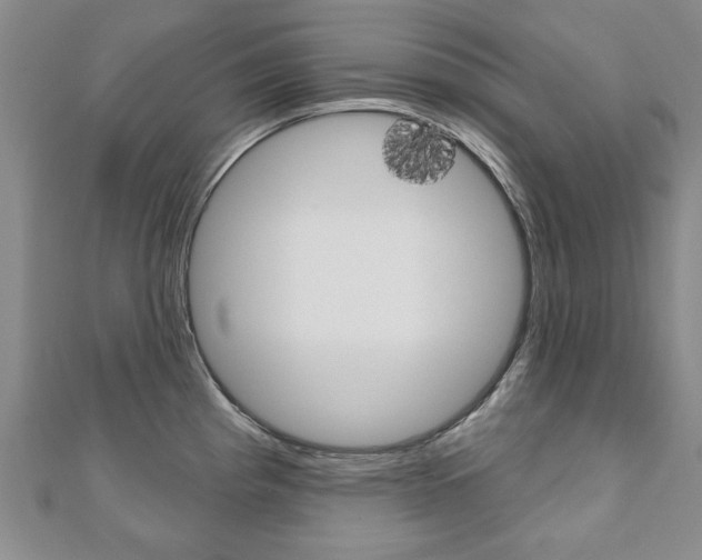 X0000110881193200906180938