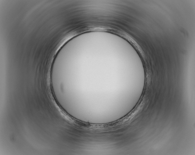 X0000110881194200906180938