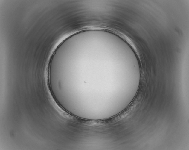 X0000110881195200906180938