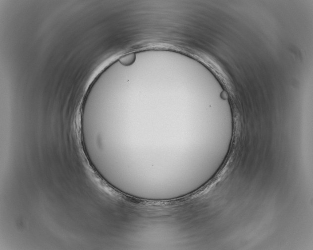 X0000110881198200906180938