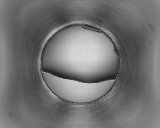 X0000110881199200906180938