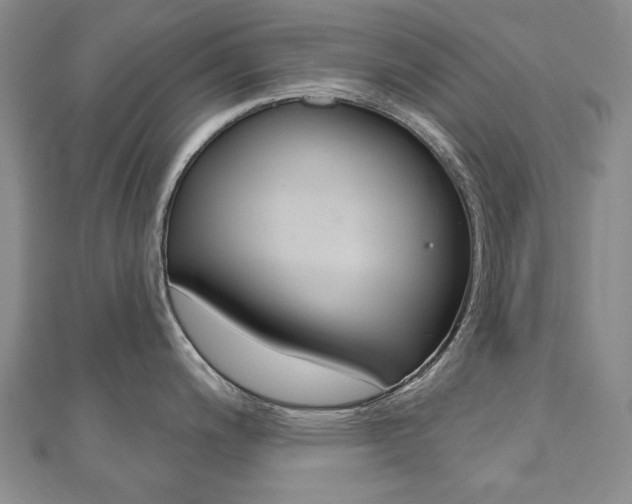 X0000110881200200906180938