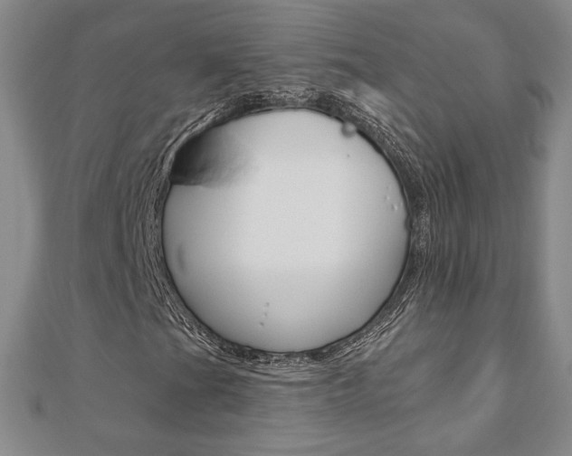 X0000110881201200906180938