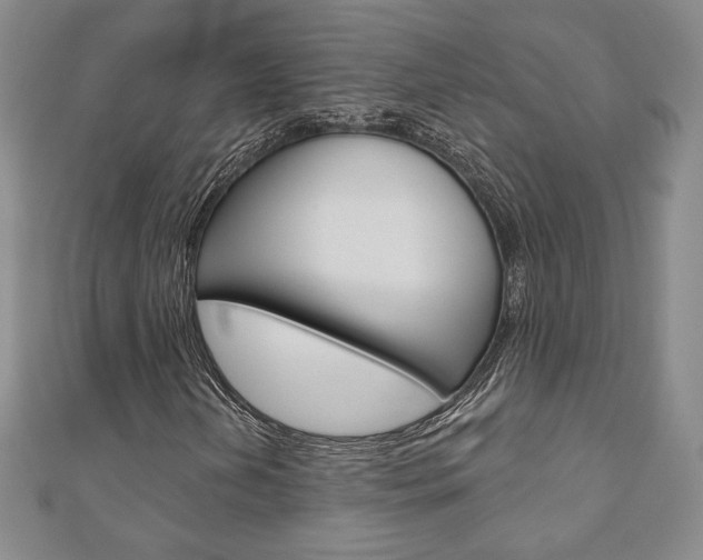 X0000110881202200906180938
