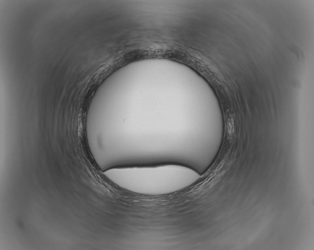 X0000110881204200906180938