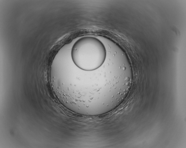 X0000110881205200906180938