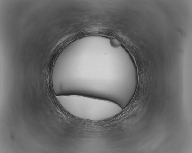 X0000110881206200906180938