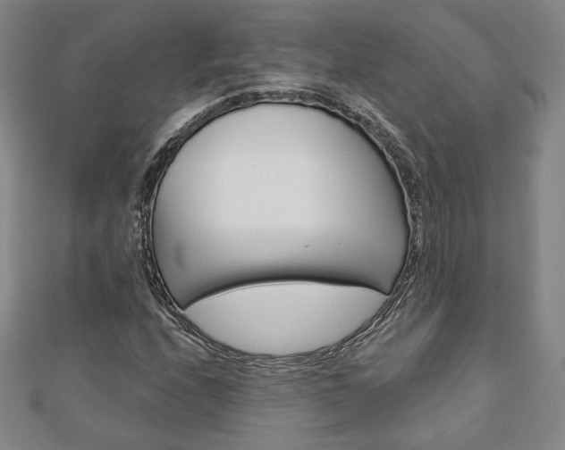 X0000110881208200906180938