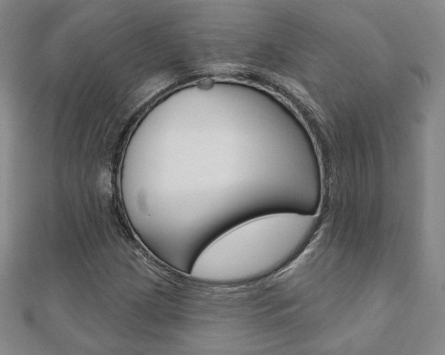 X0000110881209200906180938