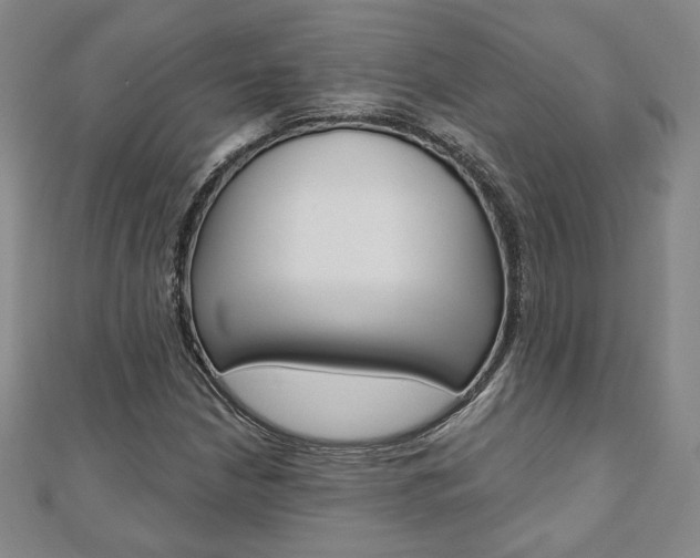 X0000110881210200906180938