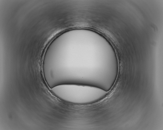 X0000110881212200906180938