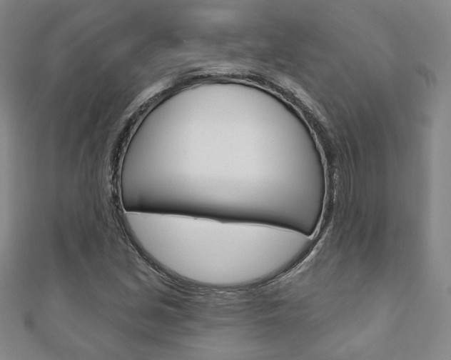 X0000110881213200906180938